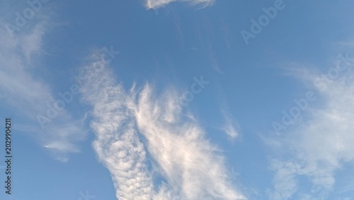 Fotografija A clear low-angle commercial photograph capturing fine, feathery strands of white cirrus clouds sweeping dynamically across a brilliant blue sky