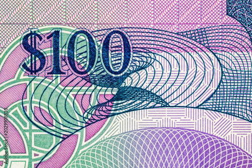 Fotografie 100 Dollar Guyana Banknote with a fragment for designers