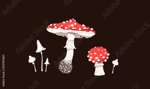 Foto Amanita muscaria and poisonous mushrooms vector illustration