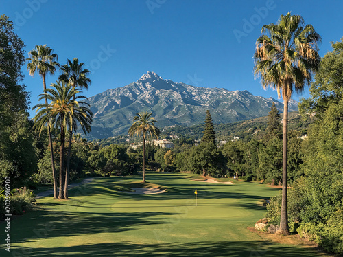 A sunlit golf course features palm trees, lush greens, and a mountain backdrop under a clear blue sky.