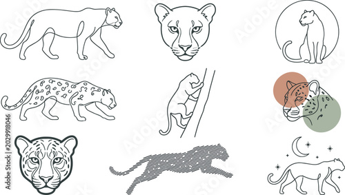 Canvas Print Minimal Leopard Line Art Vector Collection Featuring Elegant Wild Cat Outline Il