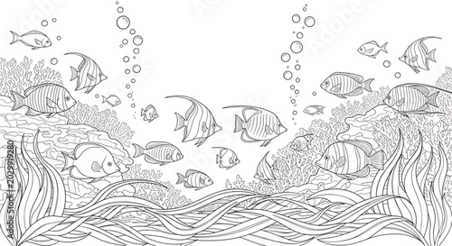 Bild auf Leinwand A detailed black and white line art illustration of an underwater coral reef, featuring diverse tropical fish, seaweed, and rising bubbles