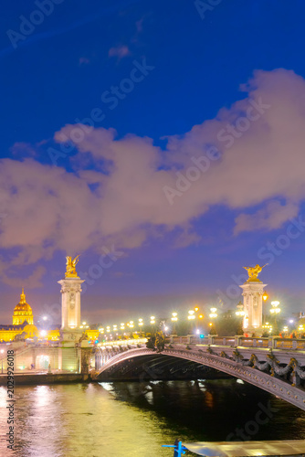 view of famouse Alexandre III Bridge illuminated at night, Paris, France