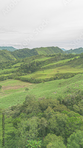 Authentic coffee and panela farming landscape in the Colombian Andes