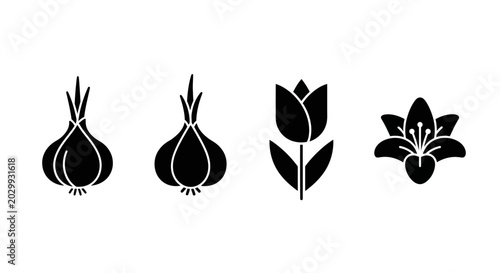 Garlic Bulbs and Flower Icons Set: Tulip and Lily Silhouette