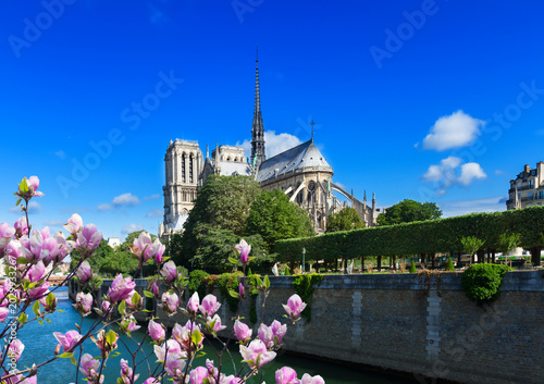 Cuadro en lienzo Notre Dame cathedral at summer day, Paris, France
