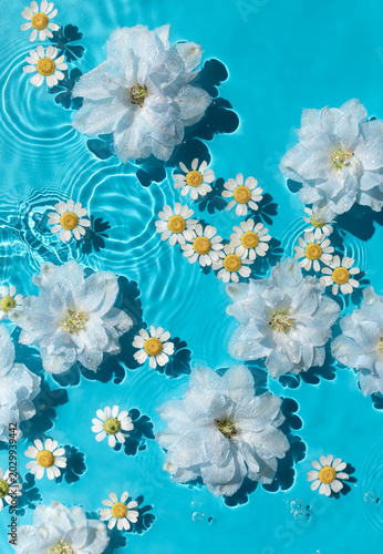 Chamomile and larkspur flowers swim in transparent water texture on blue background with harsh sunlight