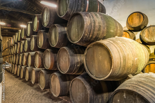 Foto Wine cellar, row of wooden barrels