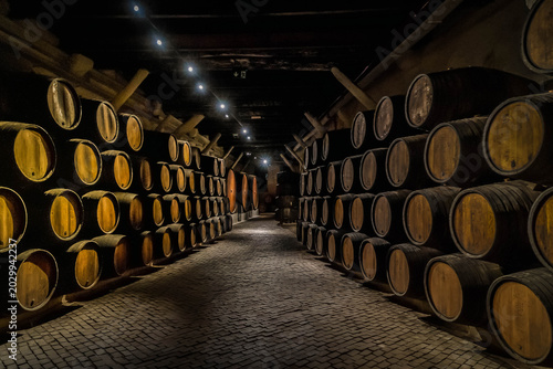 Bild auf Leinwand Wine cellar, row of wooden barrels