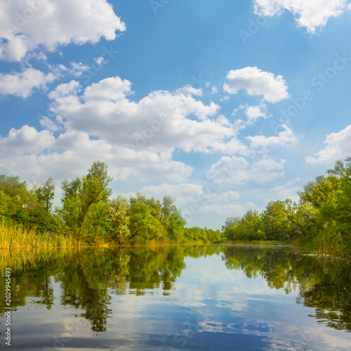 calm river with forest on coast under a blue cloudy sky