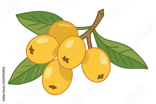 Konstfotografi Branch of ripe yellow loquat fruits with green leaves