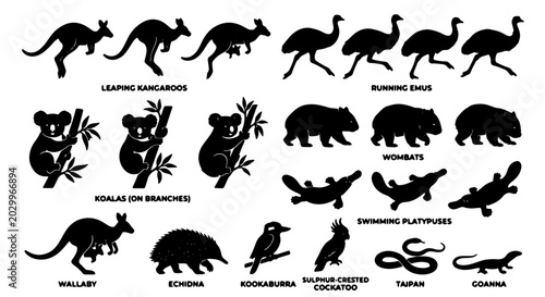 Foto Australian Wildlife Silhouette Collection: Kangaroos, Koalas, Emus, Wombats, Pla