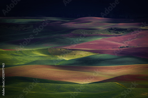 spring colorful rolling hills with patches of green, yellow, orange, and purple farmlands in dramatic lights.  