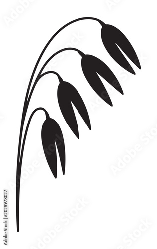 Black silhouette of a willow branch with drooping leaves against a white background silhouette