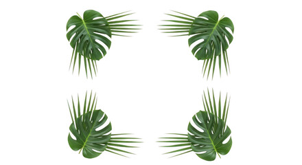 Tropical leaf frame corners with monstera and palm leaves, creating a natural border design, isolated on transparent background