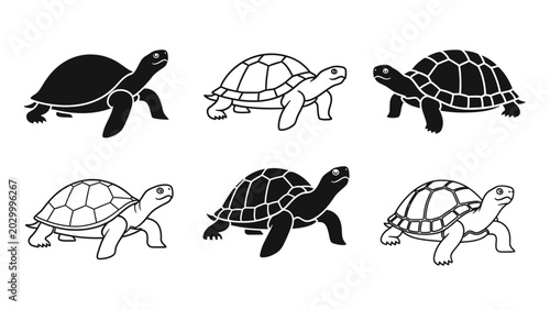 Turtle illustration featuring a set of six black and white turtle illustrations