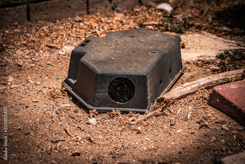 Canvas Print Outdoor rodent bait station placed on dry ground near brick and wood debris