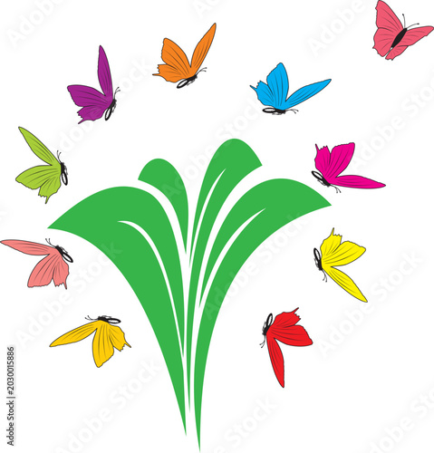 BUTINAGE DES PAPILLONS