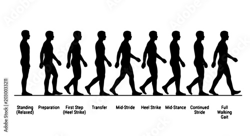 Fotografía Human Walking Cycle Animation Sequence, Silhouette Figures Depicting Gait Phases