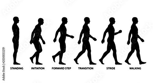 Cuadro en lienzo Human Walking Cycle Animation Sequence, Silhouette Figure Motion Study, Six Step
