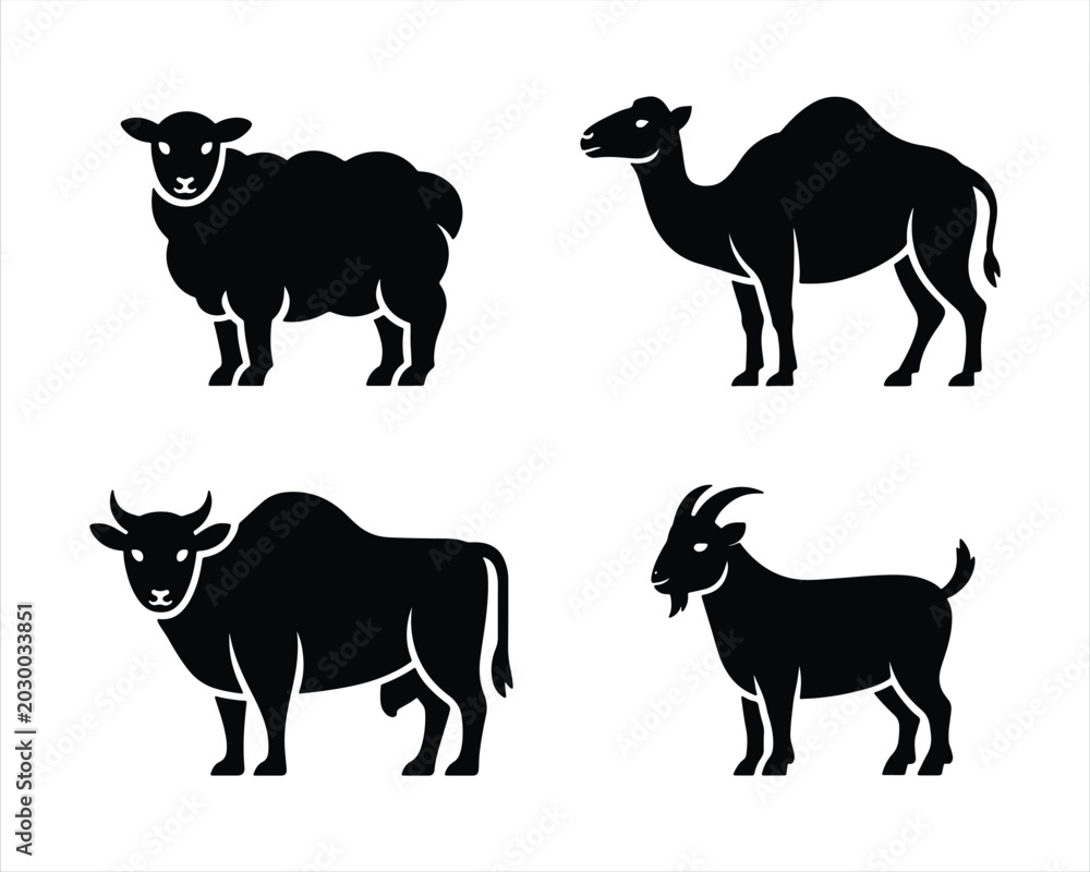 Fototapeta premium Eid al Adha animals. Qurbani animals. 