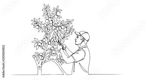 Man pruning a fruit tree one line drawing. Continuous line art illustration of orchard maintenance and gardening. Minimalist vector graphic isolated on white background