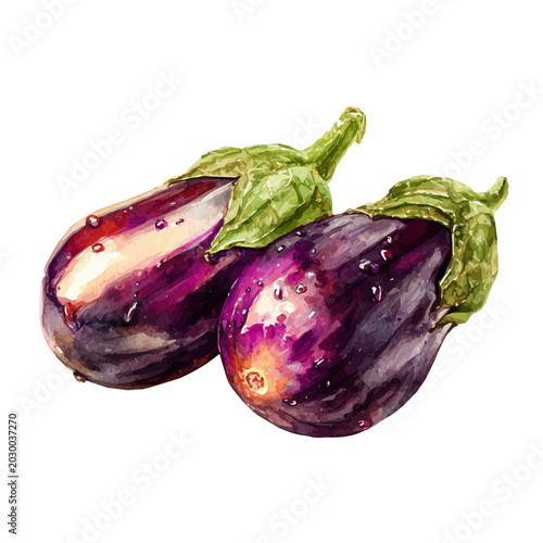 Slika na platnu Eggplant watercolor artwork, high-quality professional vector illustration isolated on a white background