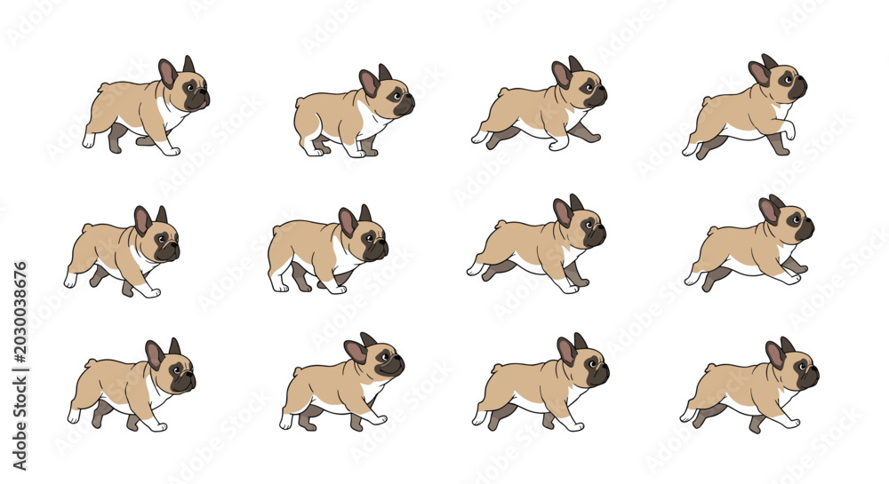 Fototapeta premium Animation sequence showing a French bulldog walking cycle with twelve individual frames for professional motion design projects.