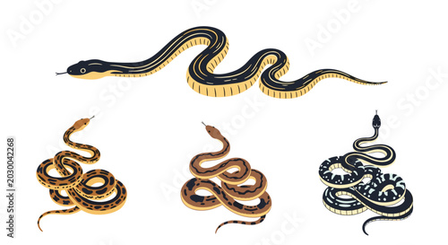 Various snakes in slithering and coiled positions are illustrated with different scale patterns and colors against a white background.