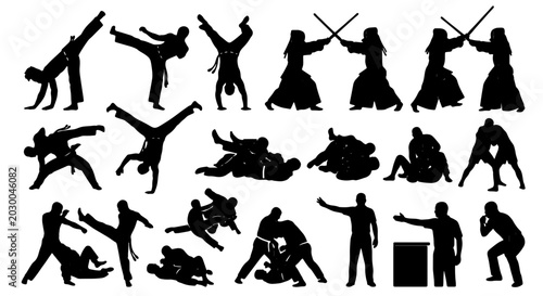 Foto Martial Arts Silhouettes Collection: Dynamic Combat Poses, Karate, Judo, Aikido,