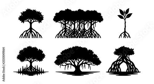 Mangrove Tree Silhouettes, Ecosystem Roots, Coastal Flora, Nature Vector Icons