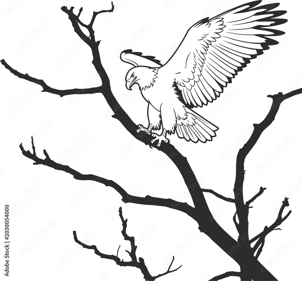 Fototapeta premium Silhouette of an Eagle Perched on a Bare Tree Branch with Wings Spread bird