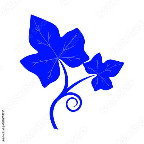 blue cute ivy ground leaf icon flat design