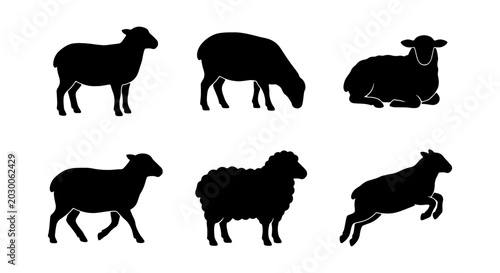 Foto Set of Six Black Sheep Silhouettes, Farm Animal Icons, Livestock Vector Graphics
