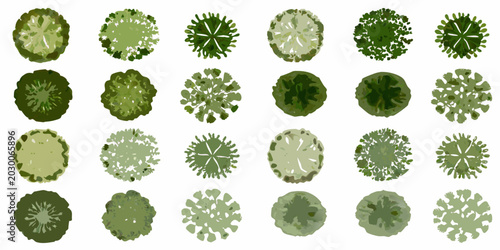 watercolor tree top view collection lush green foliage