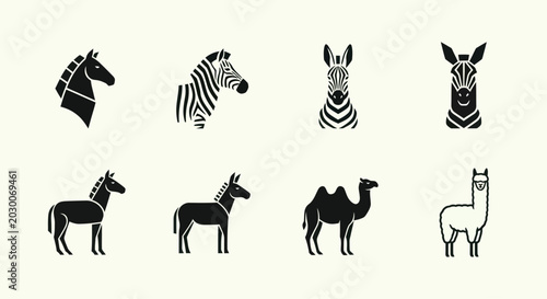 Photography Set of Stylized Animal Icons: Horse, Zebra, Camel, Llama