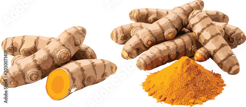 Fotografía Realistic turmeric roots and powder vector illustration with sliced rhizomes for