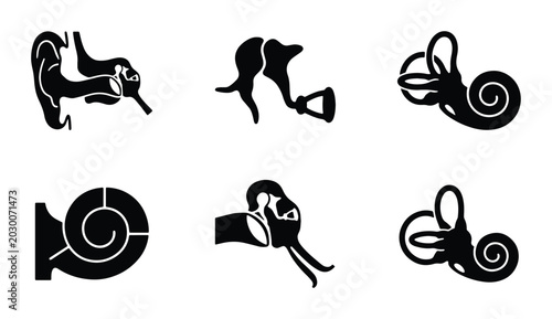 Canvas-taulu Human Ear Anatomy Icons, Auditory System Diagrams, Medical Science Vector Graphi