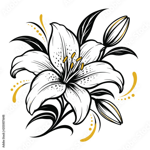 Lily flower, white lily, black and white floral, vector lily illustration, elegant flower design