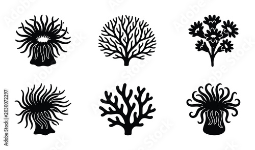 Bild auf Leinwand Set of 6 Black and White Coral Icons, Marine Life Vector Graphics, Underwater Se