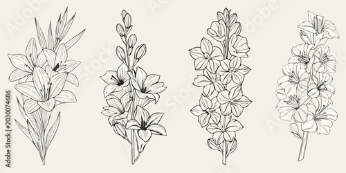 Canvastavla Floral line art illustration of lily and gladiolus stems