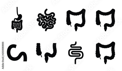 Obraz na płótnie Digestive System Icons Set, Human Intestine Anatomy Vector Graphics, Medical Org