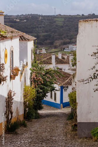 Charming narrow cobblestone alleyway in a traditional Portuguese village with whitewashed walls, colorful accents, terracotta roofs, and lush climbing plants.