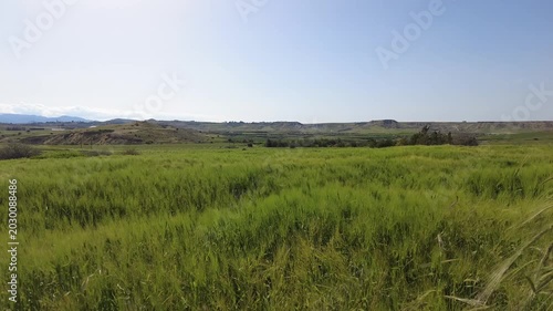 Green field lanscape of Cyprus