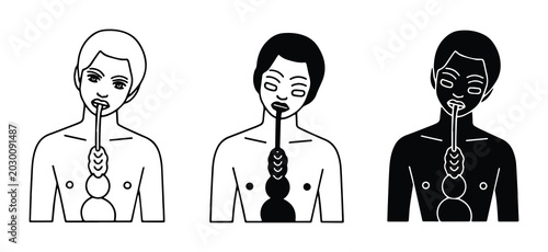 Foto Human Anatomy Icons, Medical Illustration, Digestive System Vector Art, Health C