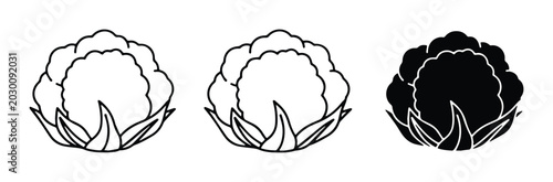 Photos Cotton Boll Icons, Natural Fiber Vector Graphics, Organic Material Symbols for T