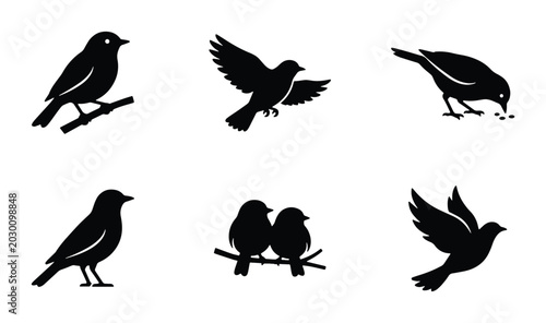 Tableau sur toile Set of 6 Black Bird Silhouettes, Vector Icons: Perching, Flying, Feeding, Pairs,