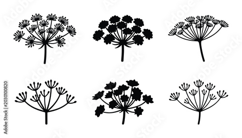 Tableau sur toile Black Silhouette Umbel Flower Vector Icons, Delicate Botanical Illustrations, Wi