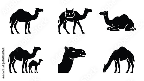 Foto Camel Silhouettes Collection: Desert Animals, Wildlife Icons, Pack Animals, Cara