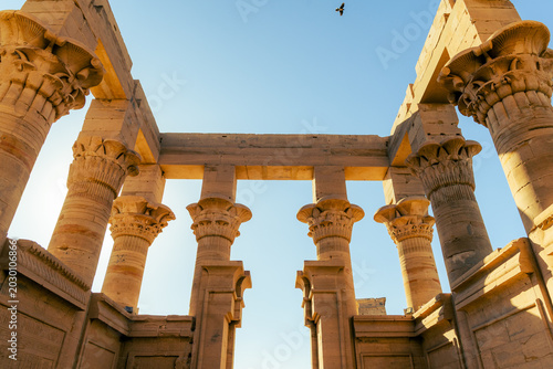 Фотография Ancient columns and architectural details at Philae Temple in Aswan Egypt